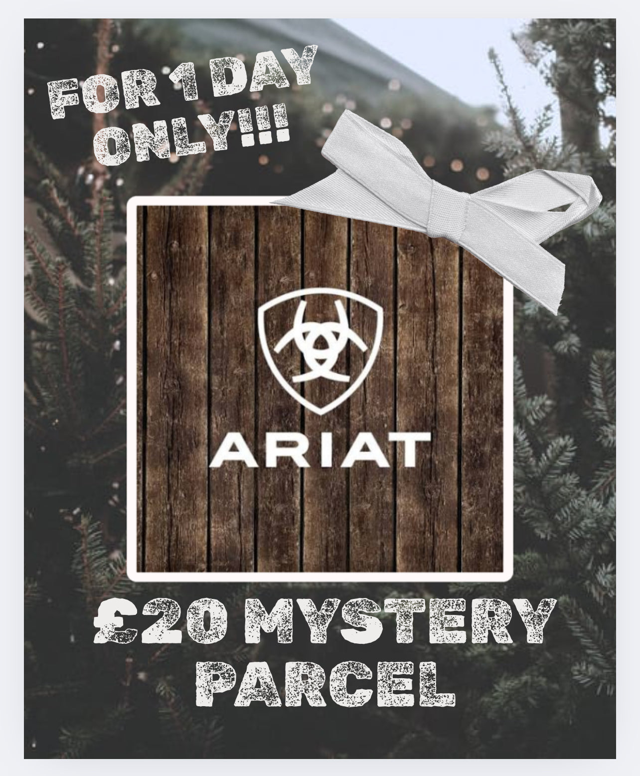 Ariat Mystery Parcel